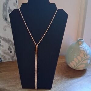 Stunning Lariat Necklace